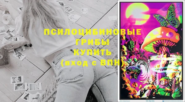 гидра Алексин