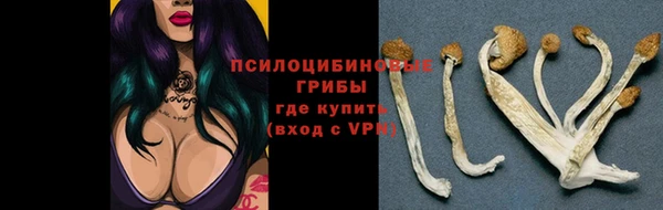 марки lsd Алексеевка