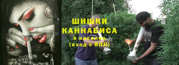 гидра Алексин