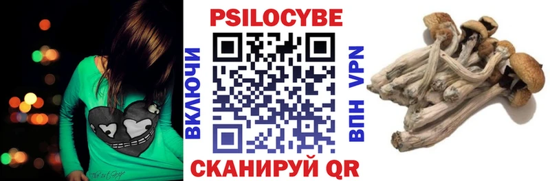 kraken ССЫЛКА  что такое   Заволжск  shop наркотические препараты  Галлюциногенные грибы мухоморы 
